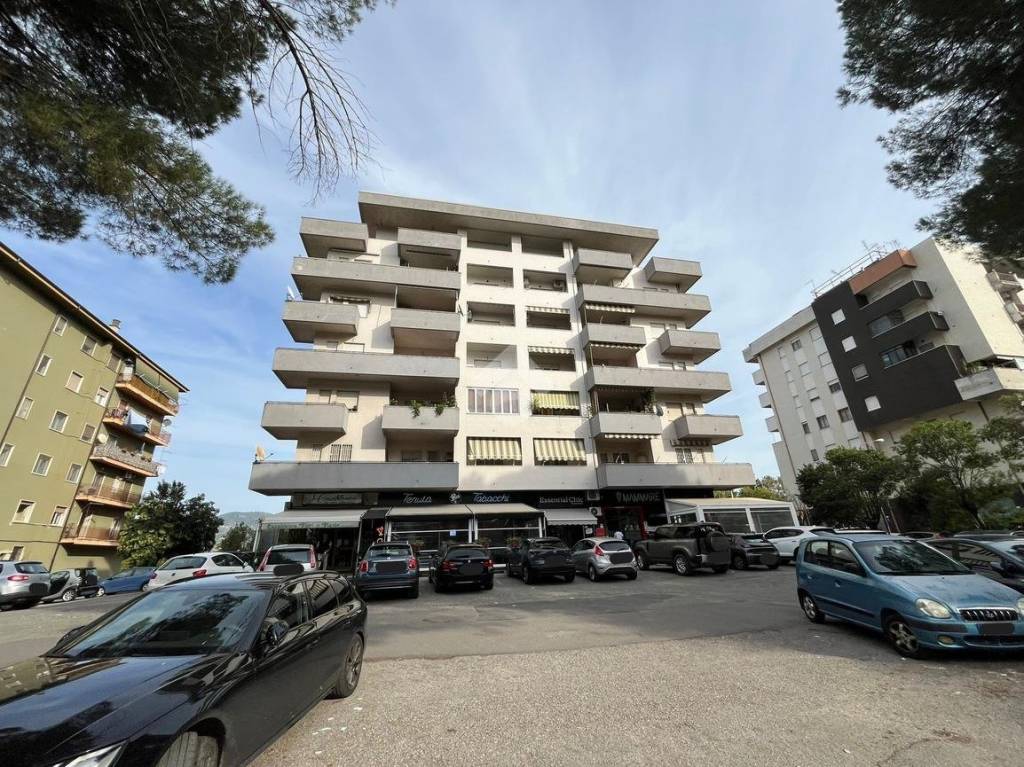 immagine annuncio 9 di 12