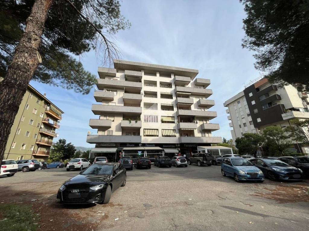 immagine annuncio 10 di 12