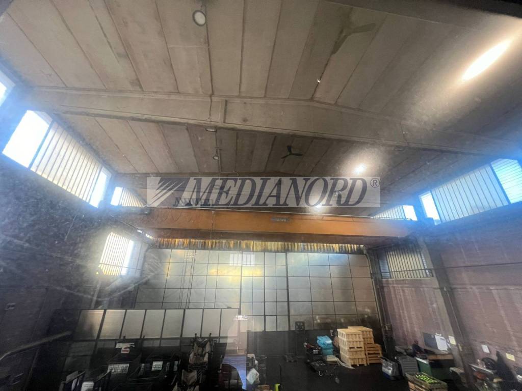 immagine annuncio 3 di 12