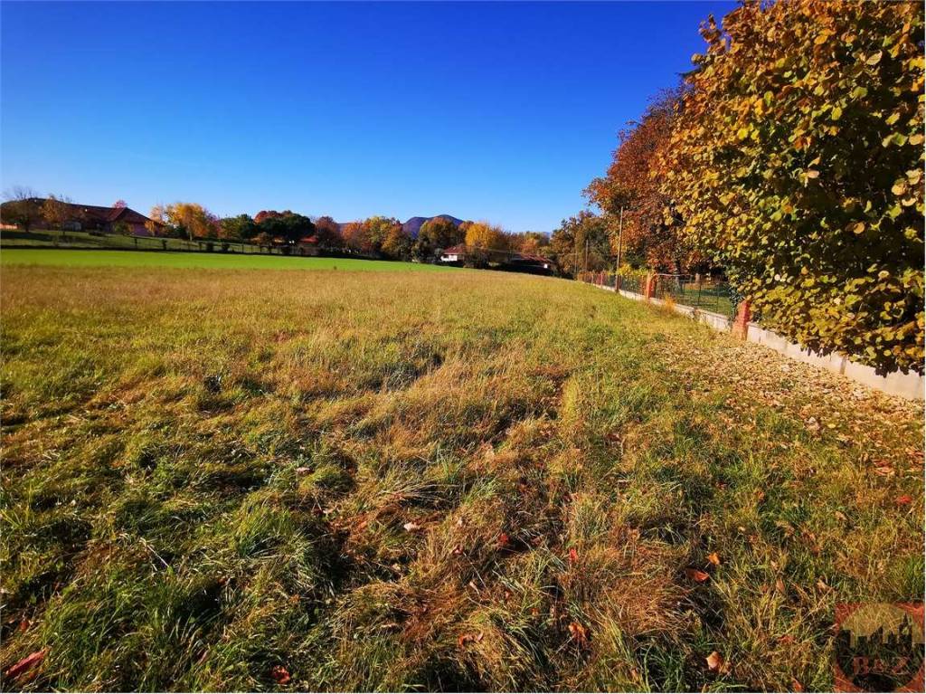 immagine annuncio 5 di 12