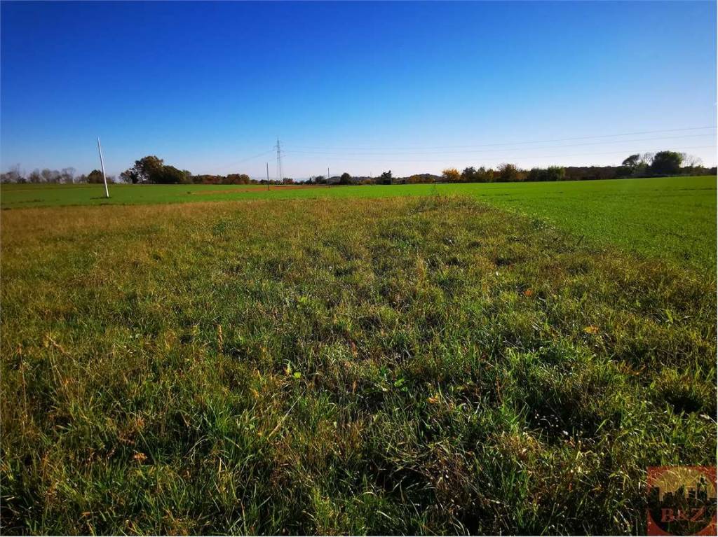 immagine annuncio 7 di 12