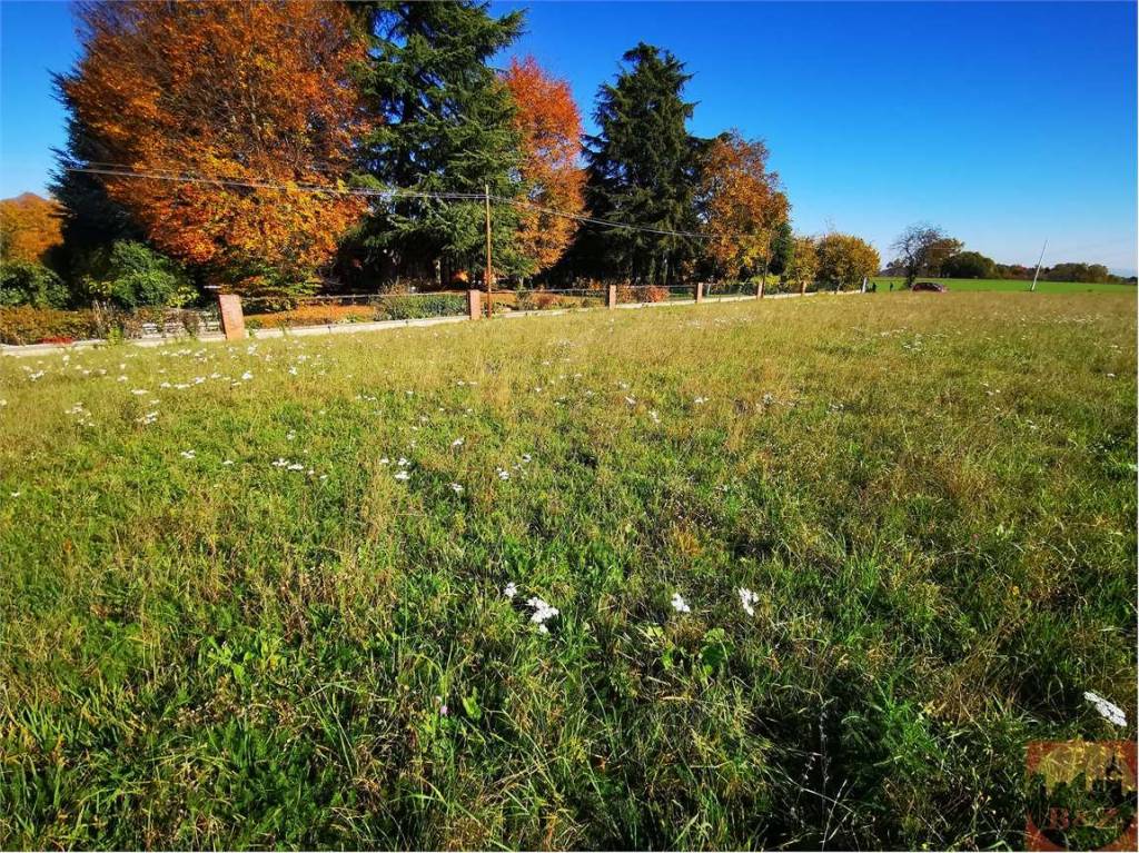 immagine annuncio 9 di 12