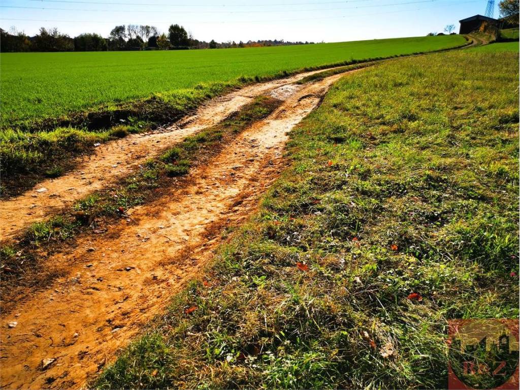 immagine annuncio 11 di 12