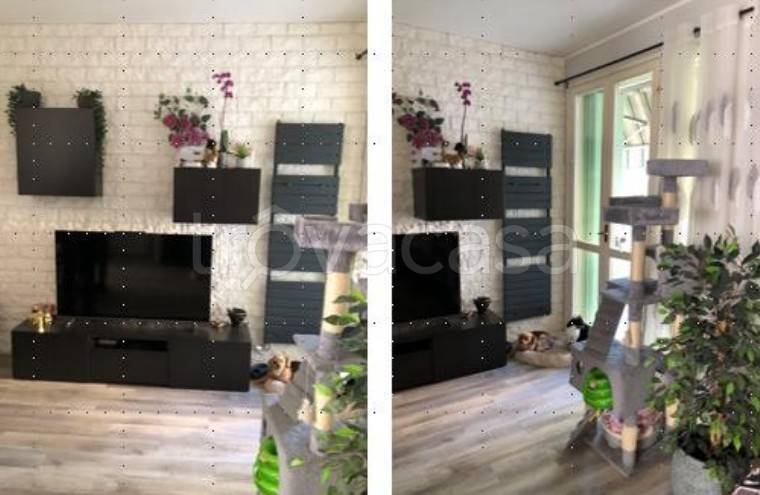 immagine annuncio 1 di 6