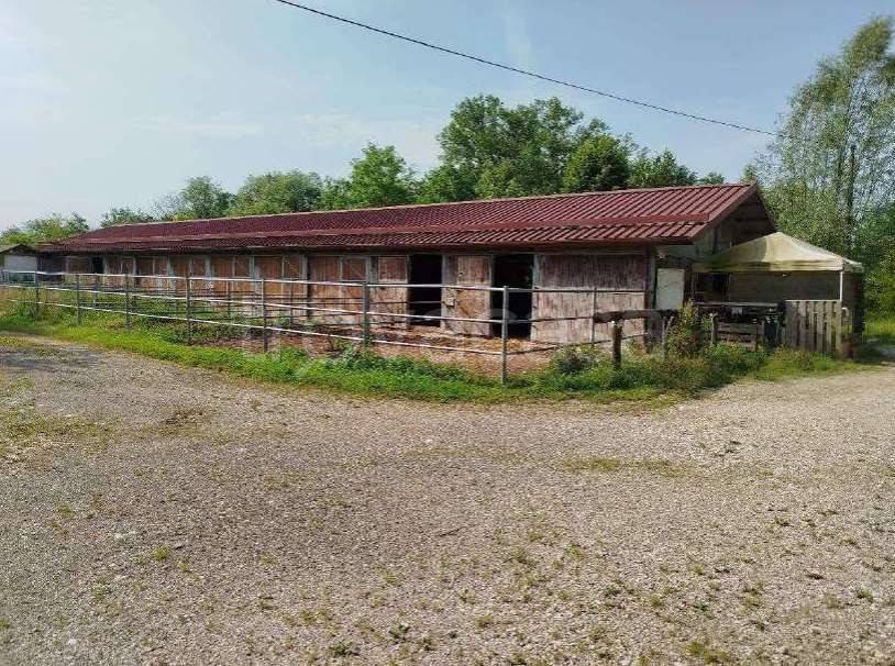 immagine annuncio 1 di 14