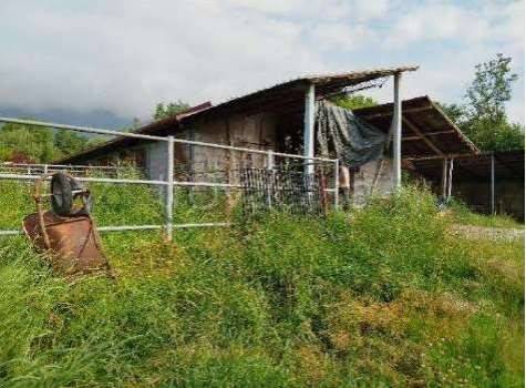 immagine annuncio 4 di 14