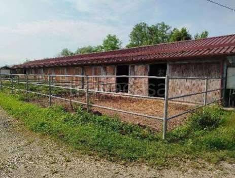 immagine annuncio 5 di 14