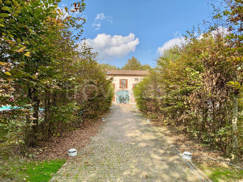 immagine annuncio 5 di 15