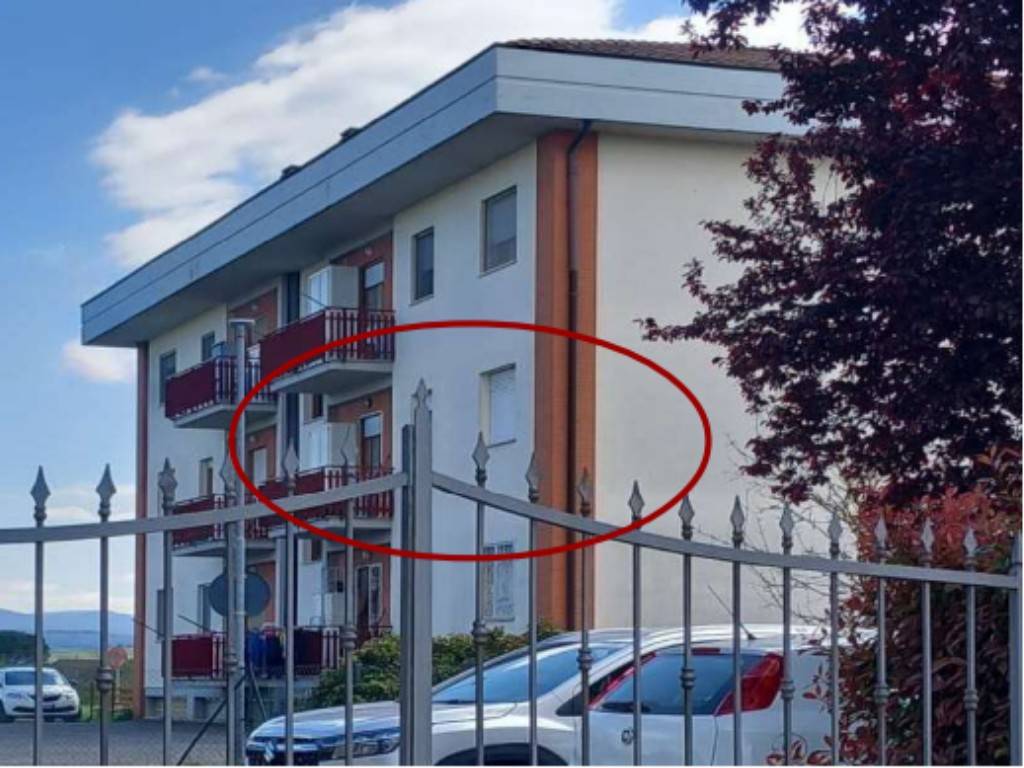 immagine annuncio 3 di 11