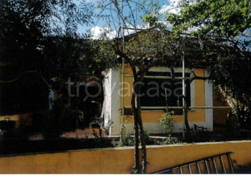 immagine annuncio 2 di 13