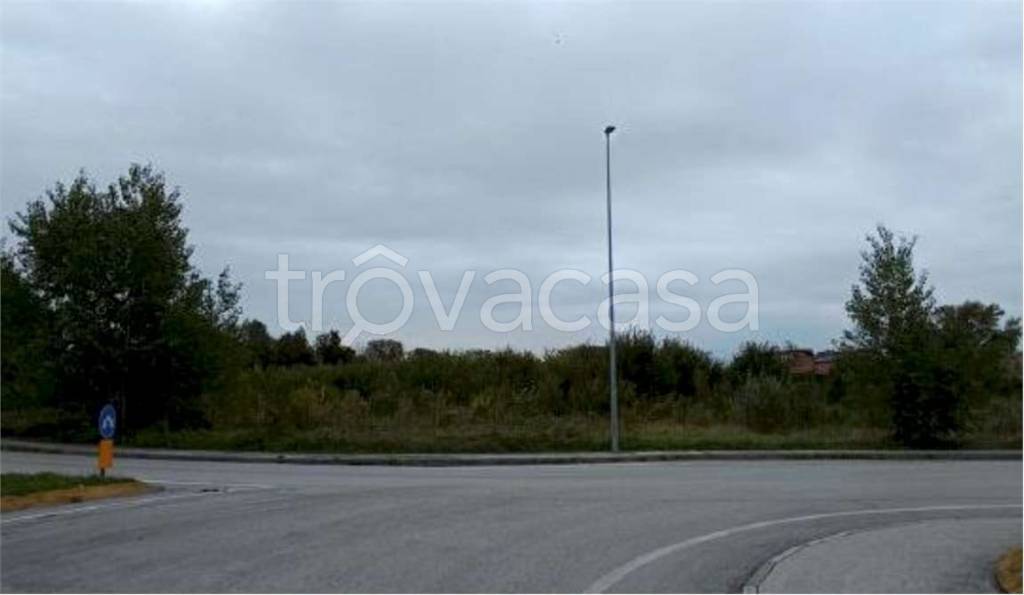 immagine annuncio 5 di 14