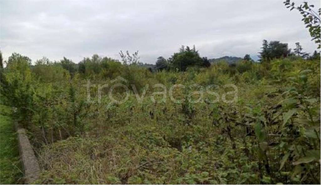 immagine annuncio 7 di 14