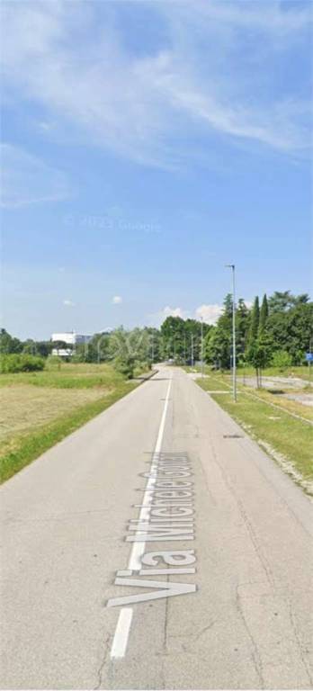 immagine annuncio 12 di 14