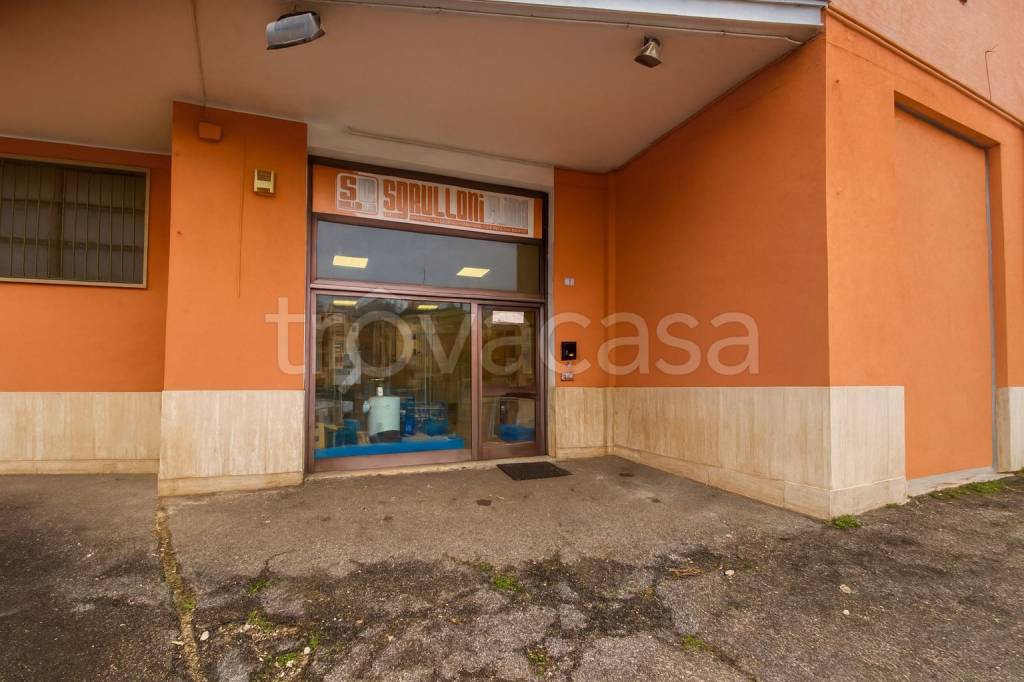 immagine annuncio 1 di 8