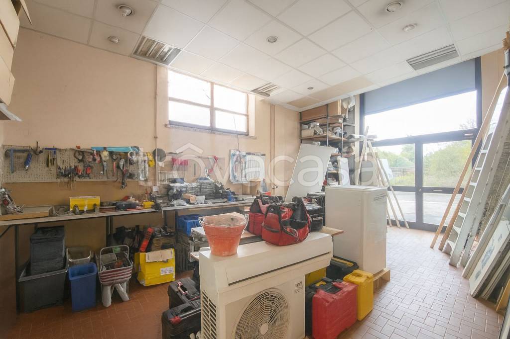 immagine annuncio 5 di 8