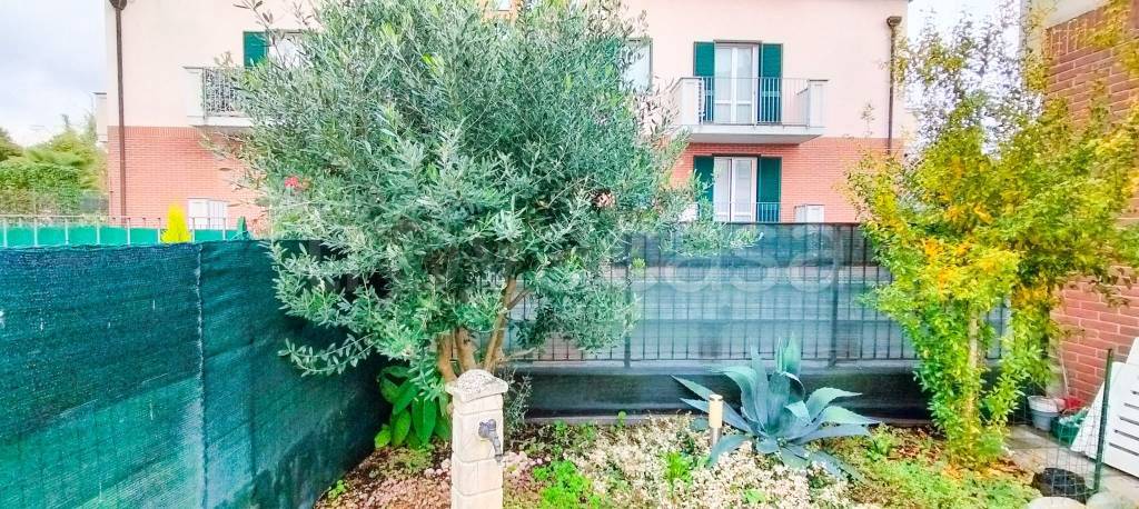 immagine annuncio 10 di 15