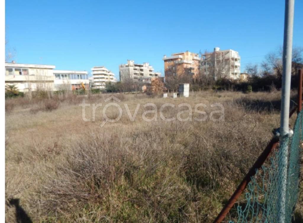 immagine annuncio 4 di 11