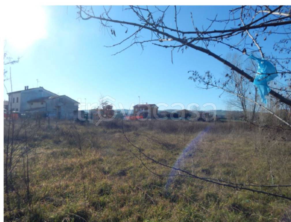 immagine annuncio 7 di 11