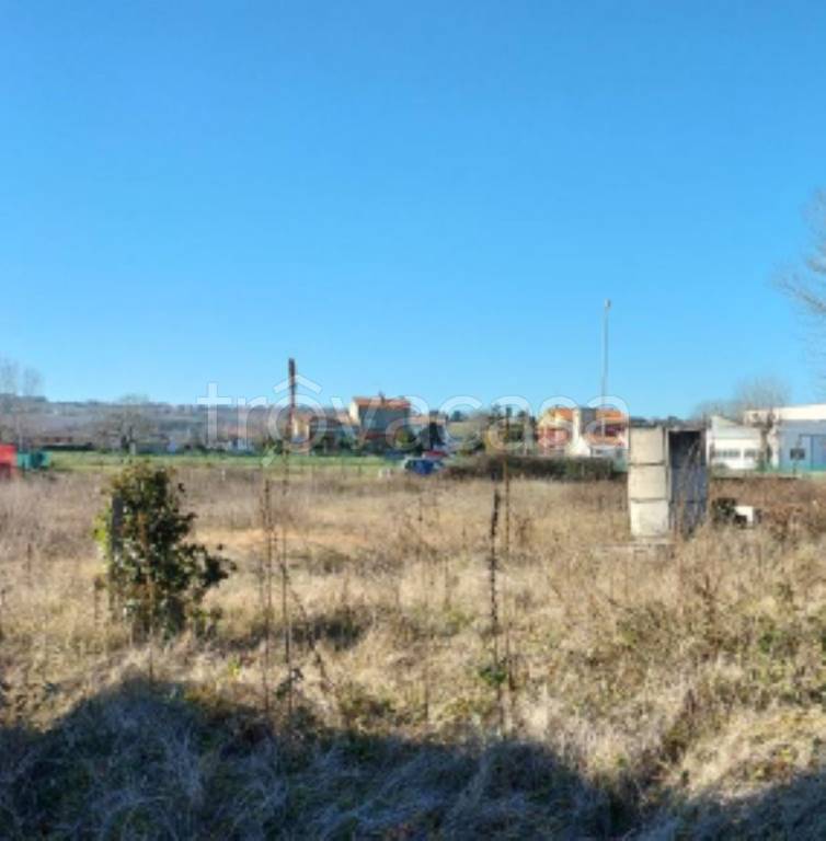 immagine annuncio 9 di 11