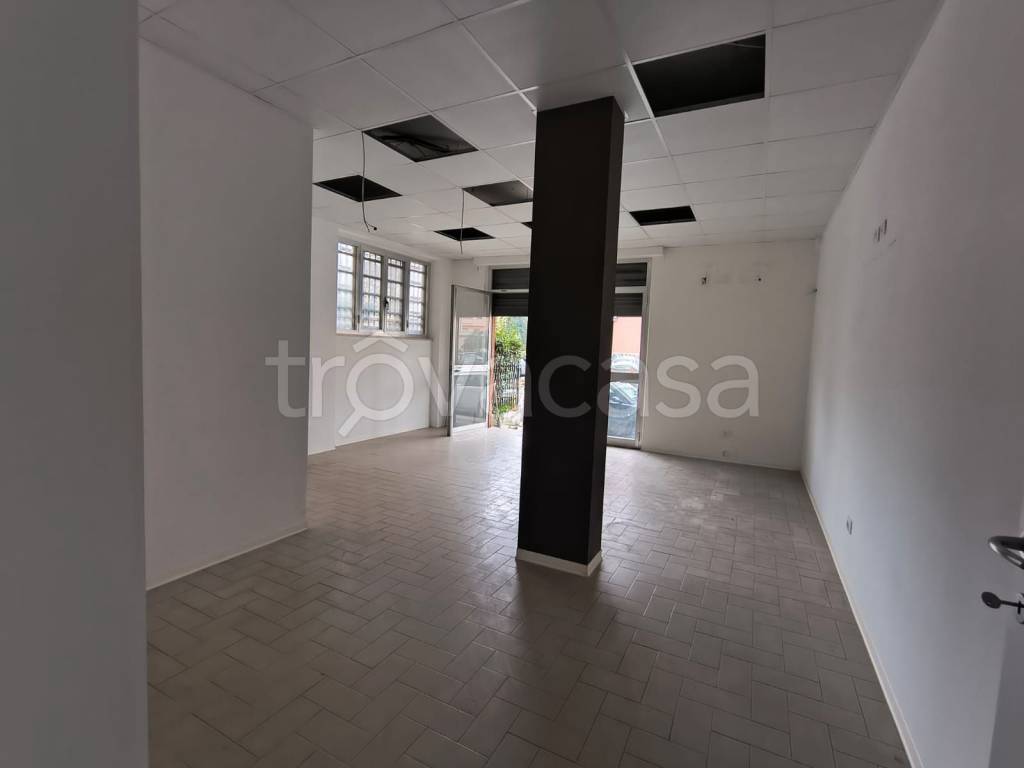 immagine annuncio 4 di 8