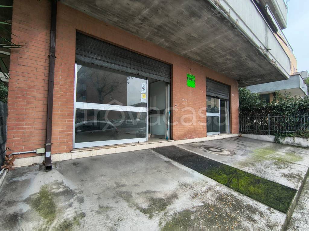 immagine annuncio 6 di 8