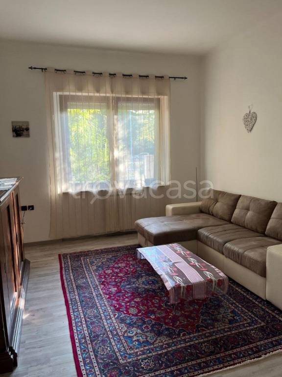 immagine annuncio 3 di 14