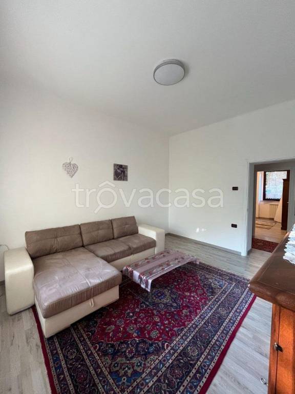 immagine annuncio 5 di 14