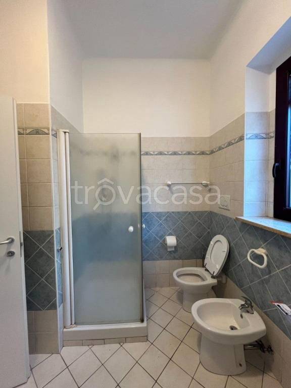 immagine annuncio 9 di 14