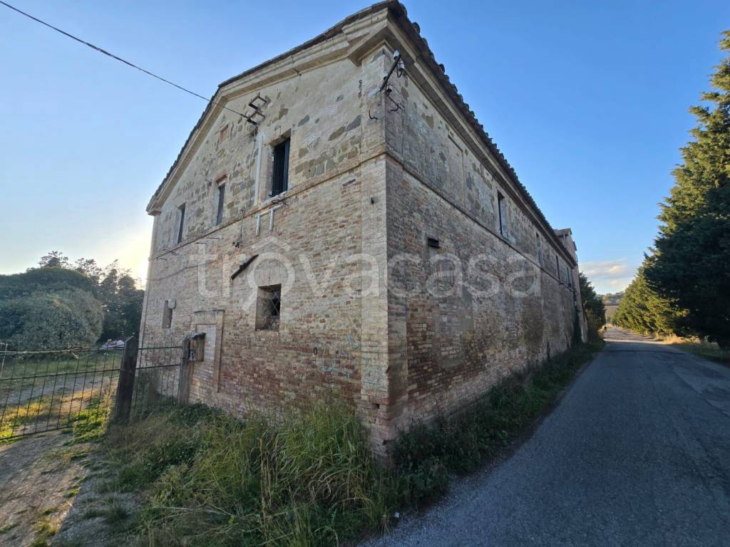 immagine annuncio 3 di 12