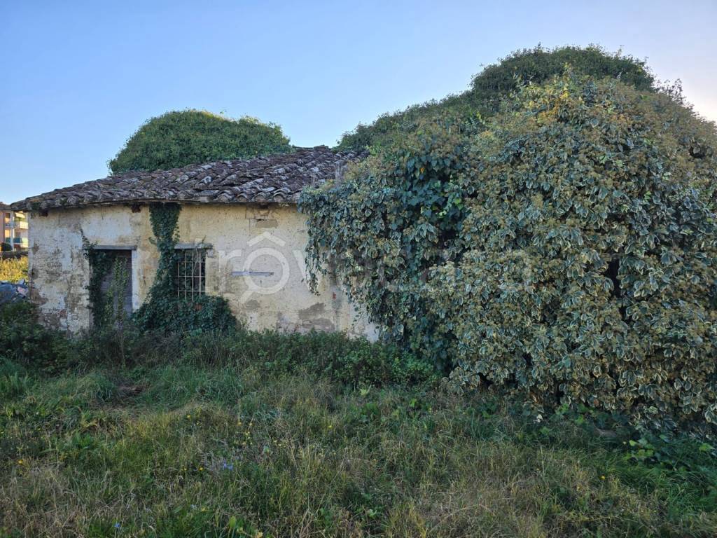 immagine annuncio 6 di 12