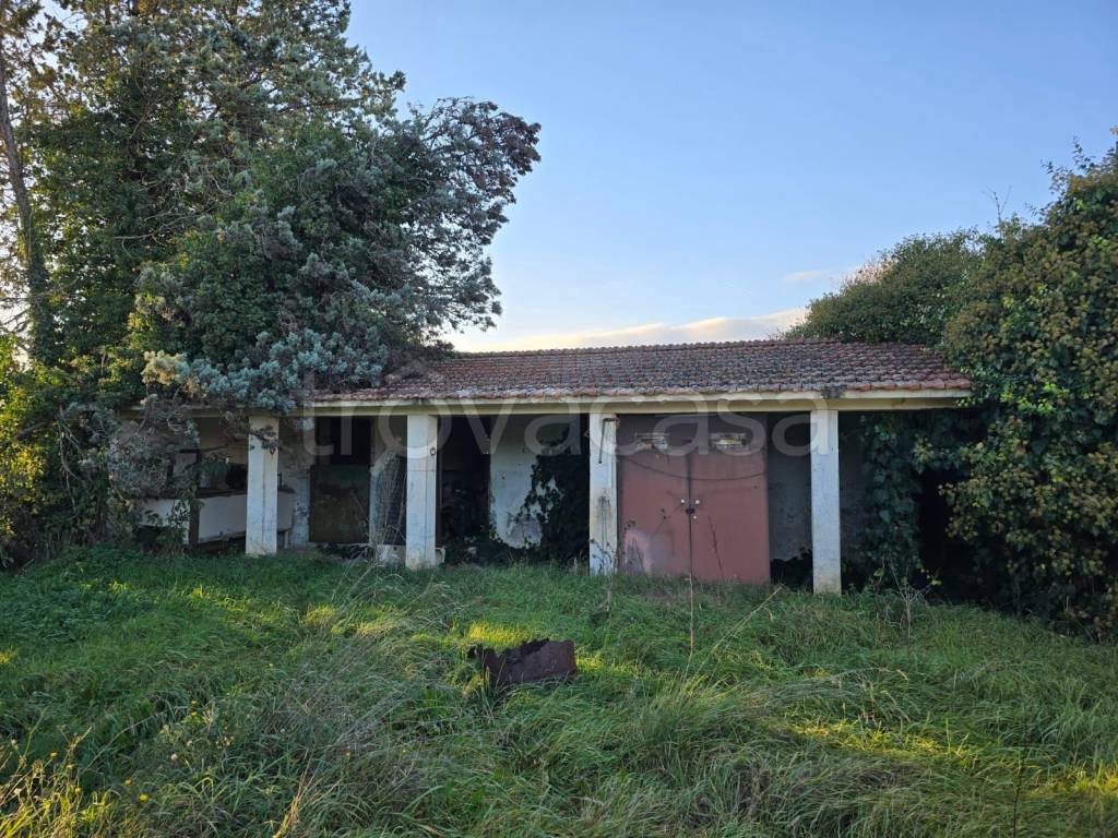 immagine annuncio 10 di 12