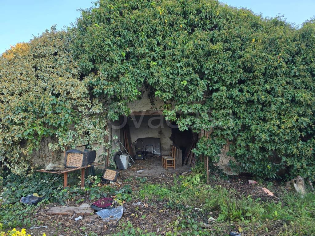 immagine annuncio 11 di 12