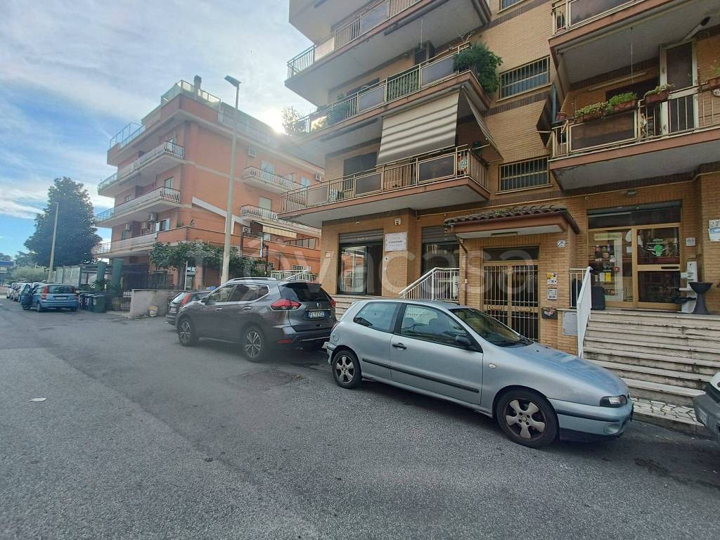 immagine annuncio 12 di 13