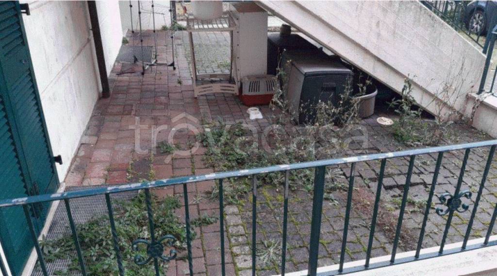 immagine annuncio 10 di 14