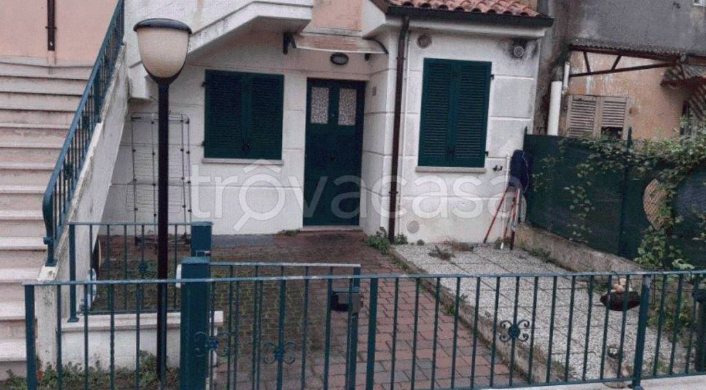 immagine annuncio 11 di 14