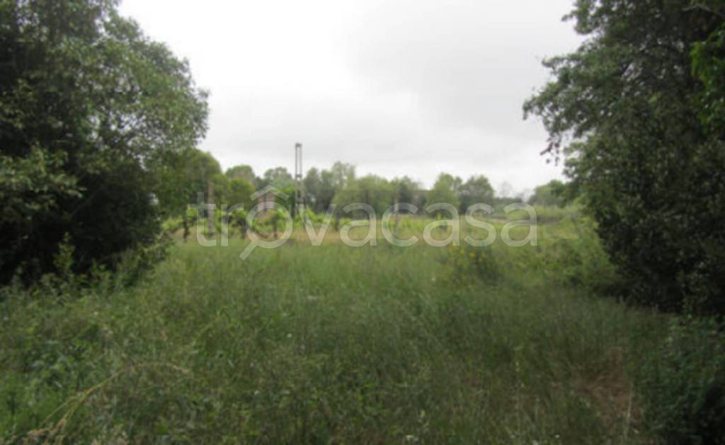 immagine annuncio 2 di 11