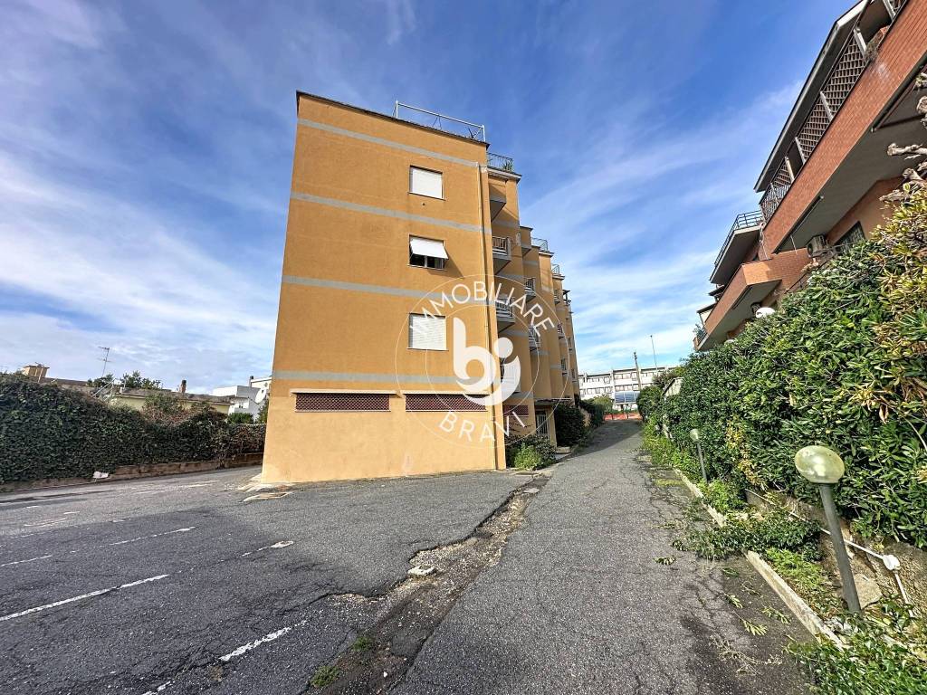 immagine annuncio 12 di 13