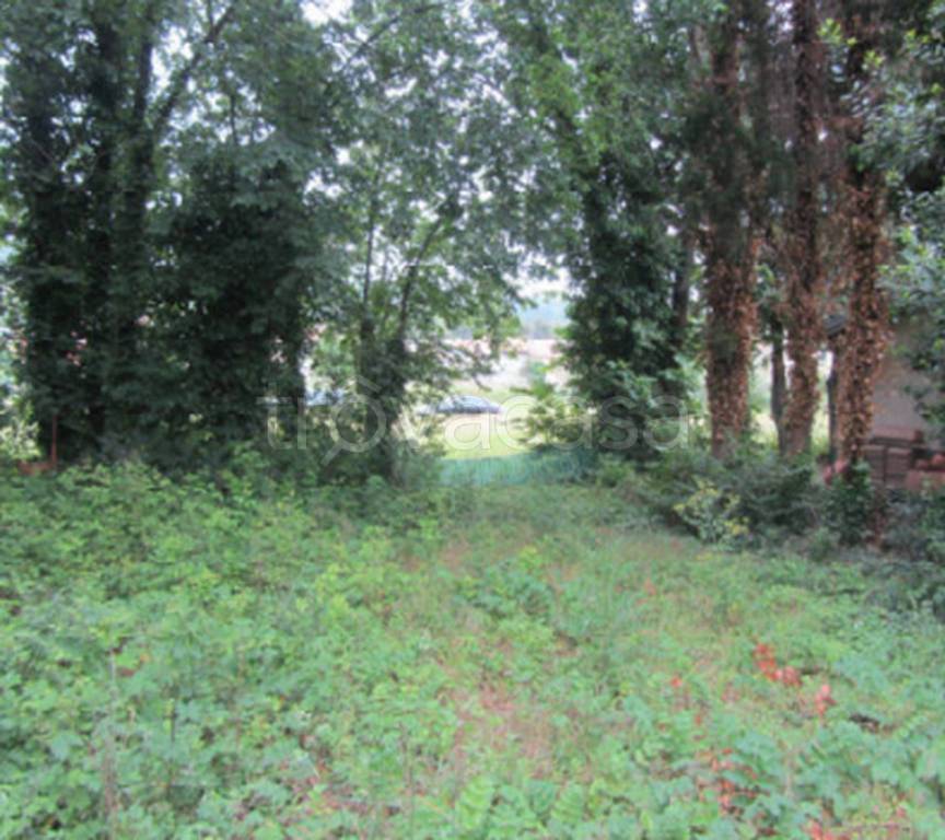 immagine annuncio 6 di 11