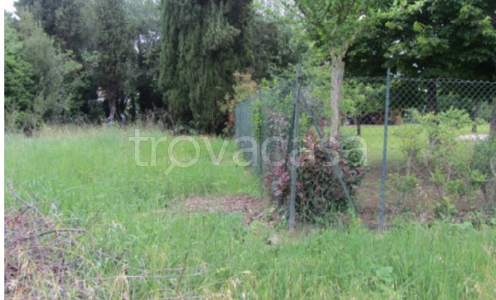 immagine annuncio 9 di 11