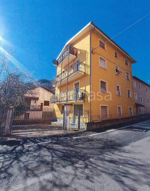 immagine annuncio 8 di 11