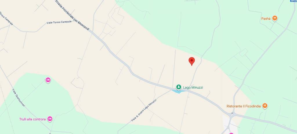 immagine annuncio 11 di 13