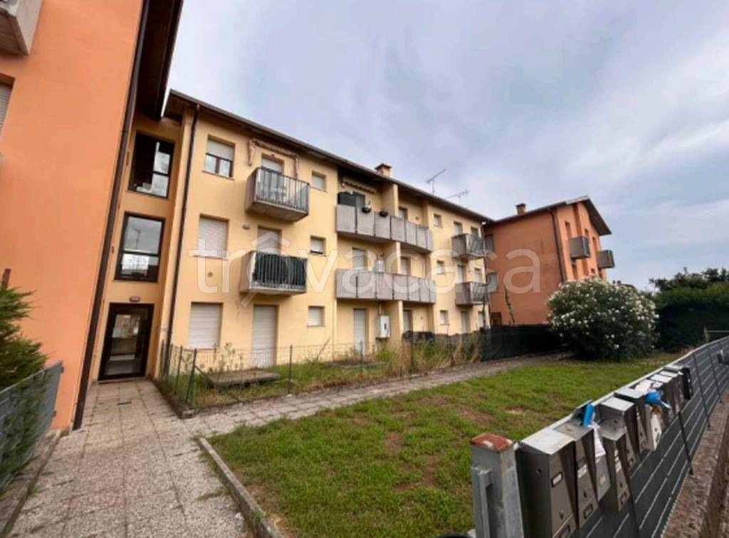 immagine annuncio 5 di 11