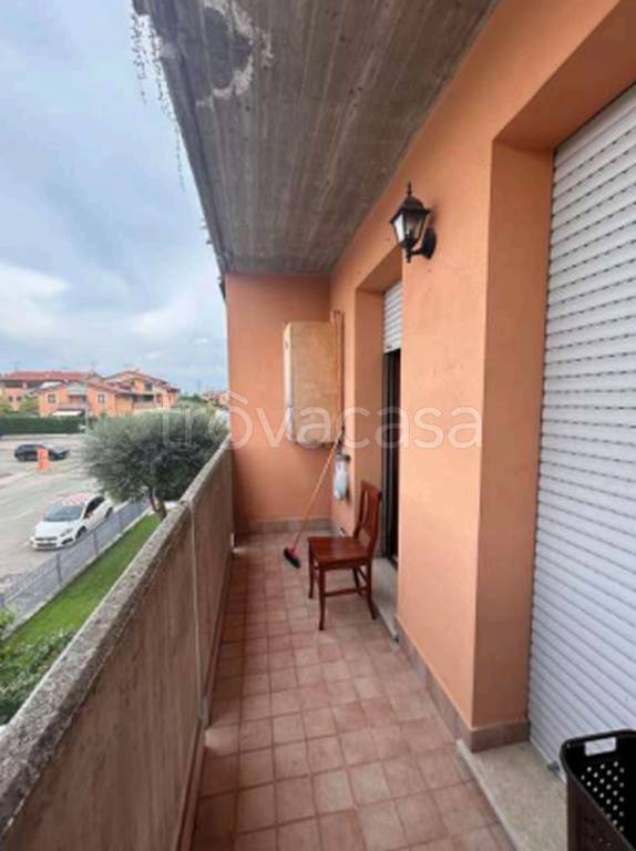 immagine annuncio 8 di 11