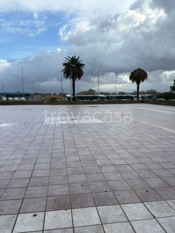 immagine annuncio 5 di 6