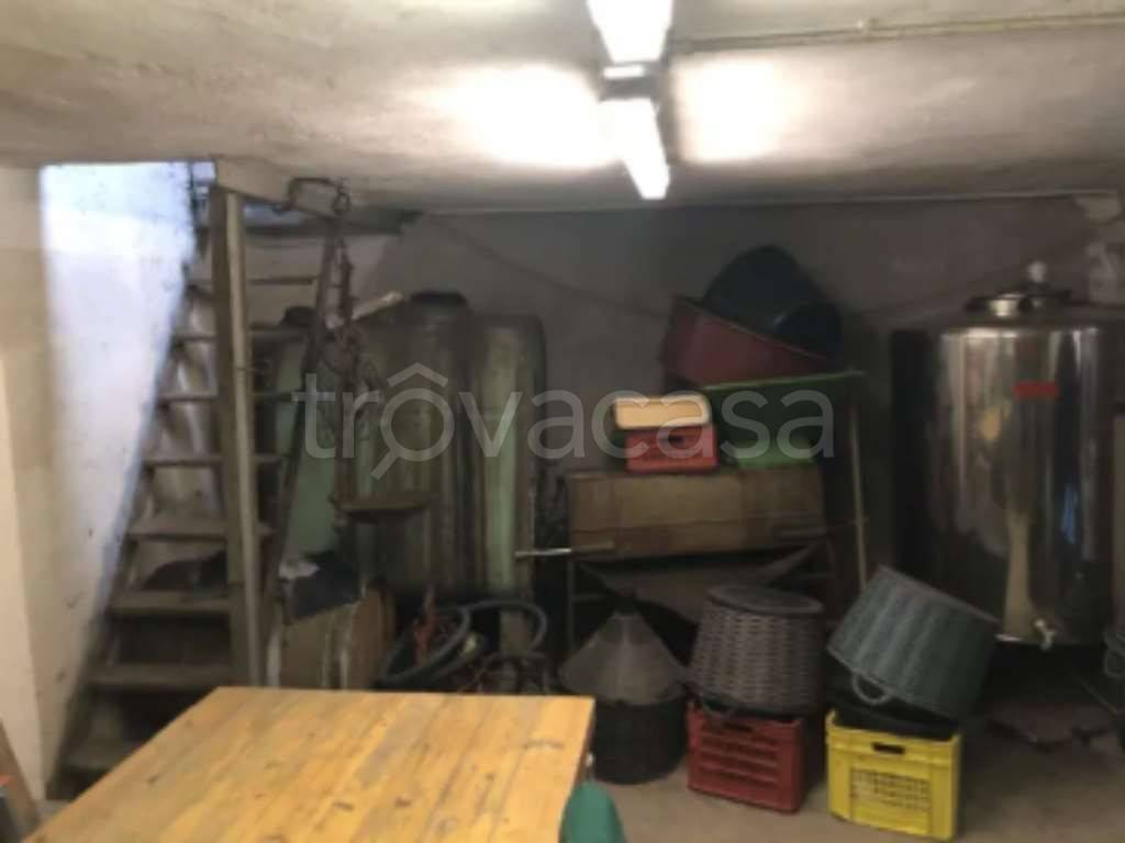 immagine annuncio 8 di 11