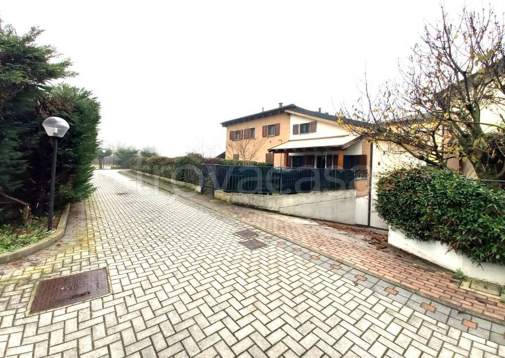 immagine annuncio 11 di 15