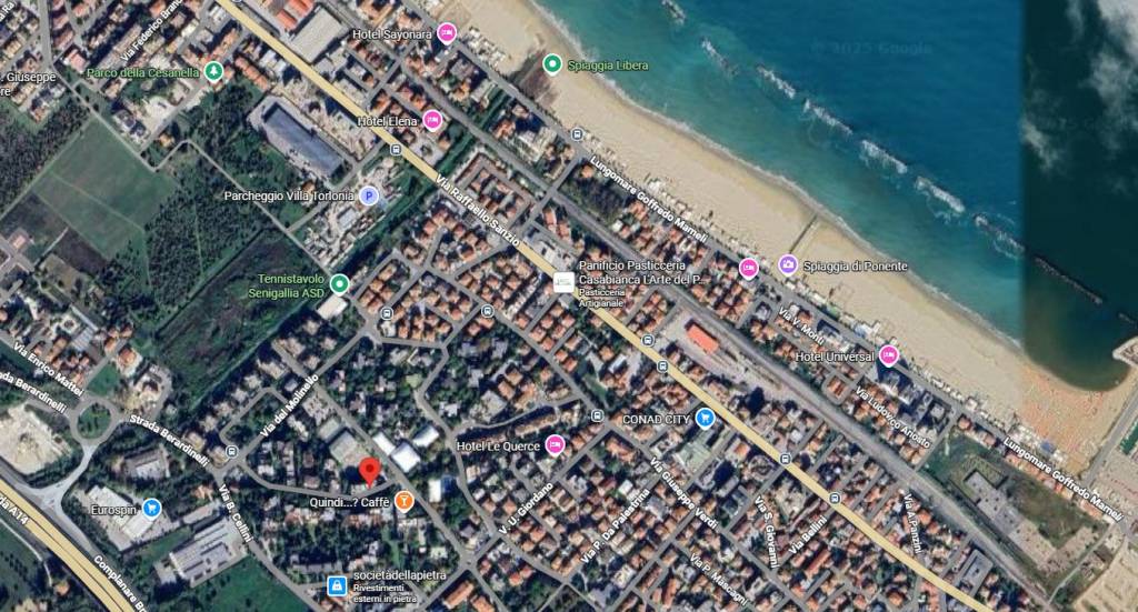 immagine annuncio 1 di 12