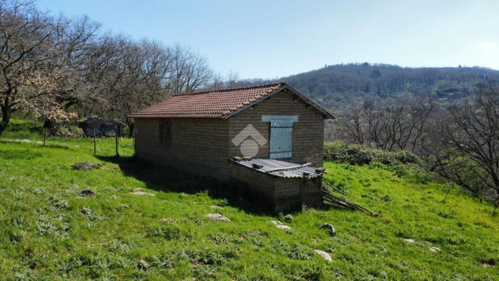 immagine annuncio 5 di 12