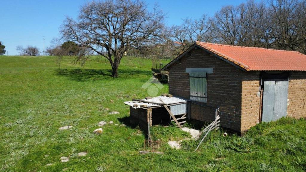 immagine annuncio 6 di 12