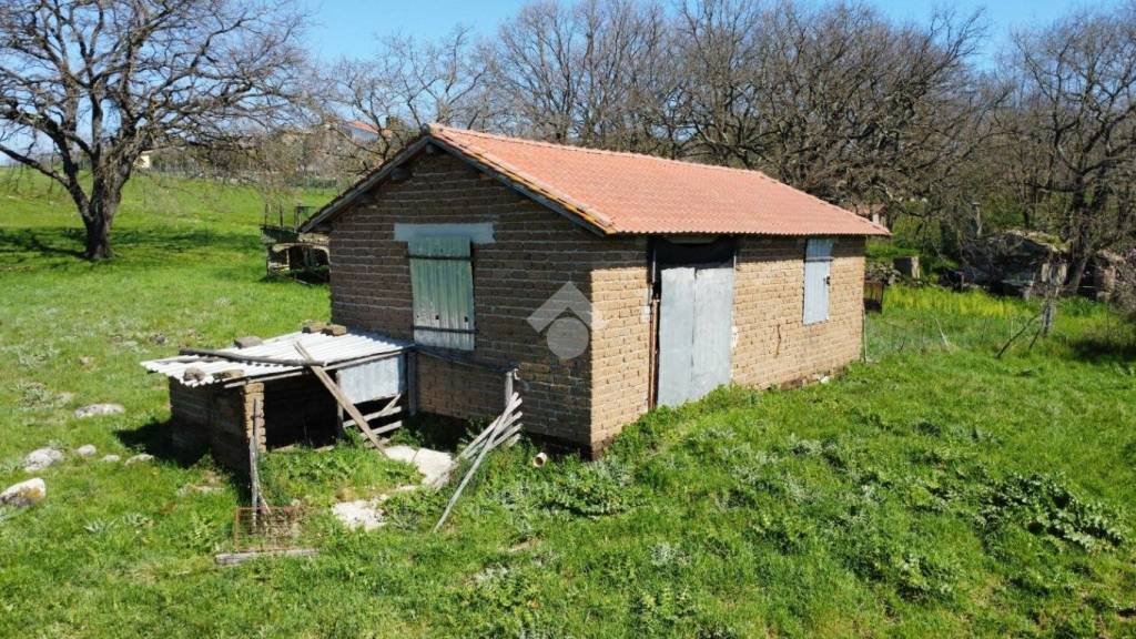 immagine annuncio 7 di 12